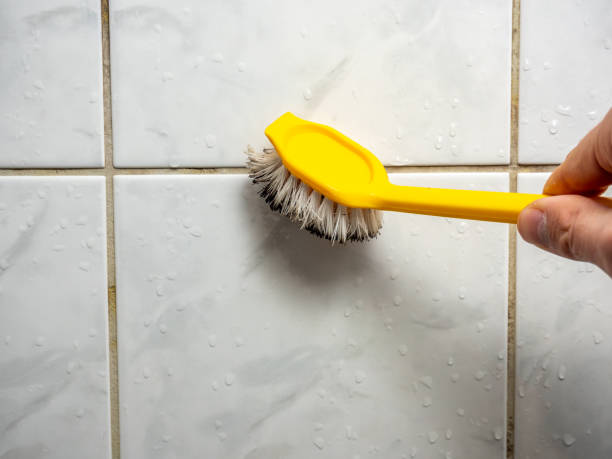 Best Water Damage Restoration  in Yale, MI