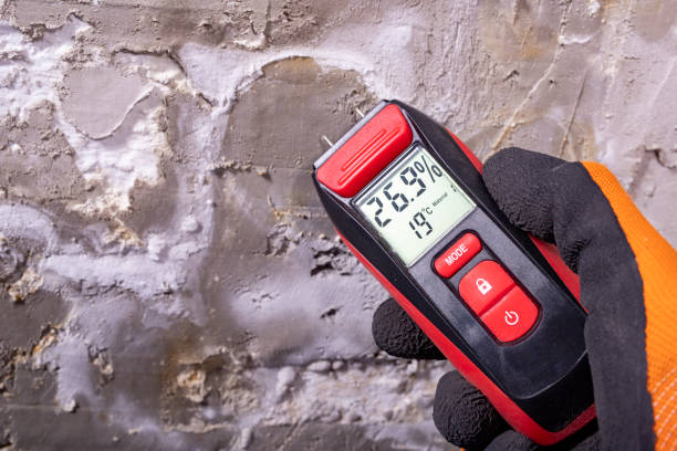 Attic Mold Removal in Yale, MI