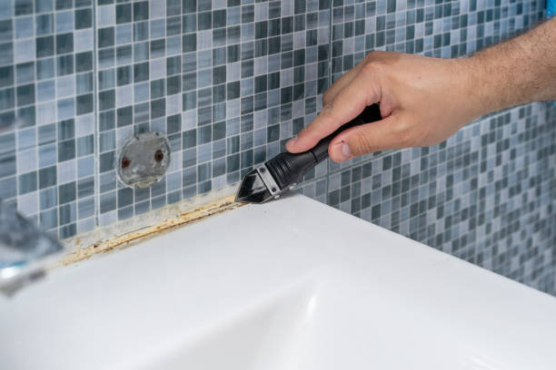 Best Same-Day Mold Removal  in Yale, MI